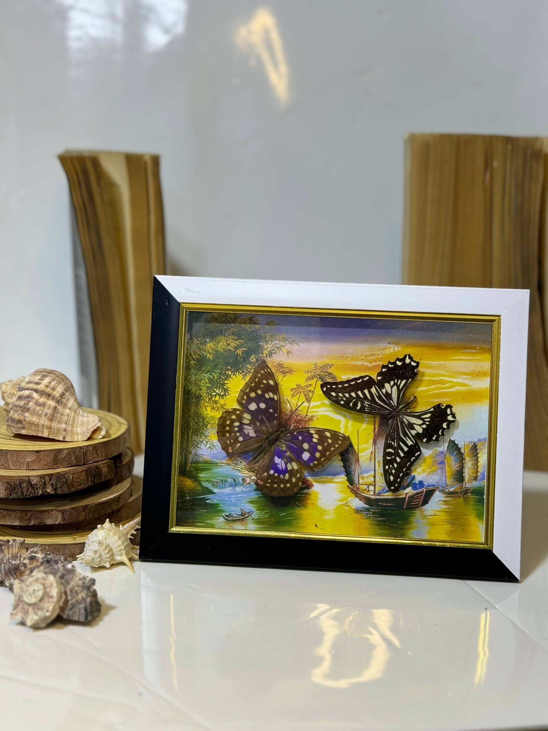 إطار فراشة حقيقيه